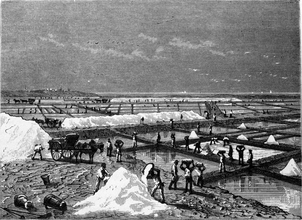 塩の生産：塩湿地(saline)の眺め 19世紀のエングレービング 作： 無名の画家
