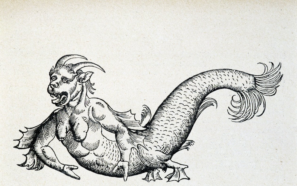15世紀初頭にアドリア海で捕獲されたとされる「海の悪魔」（ゲスナー著）。 作： 無名の画家