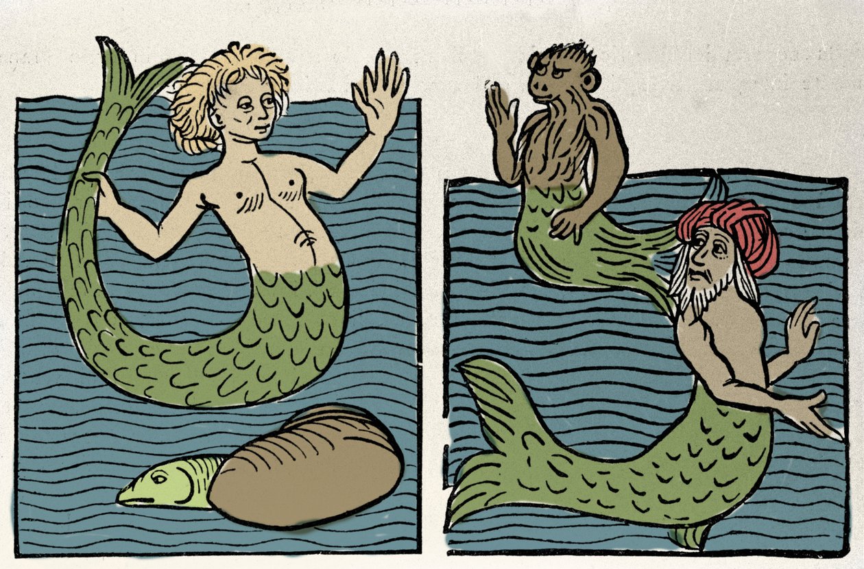 海の聖母シレーヌ、猿、ウミガメ。"Hortus sanitatis "からのエングレーヴィング 作： 無名の画家