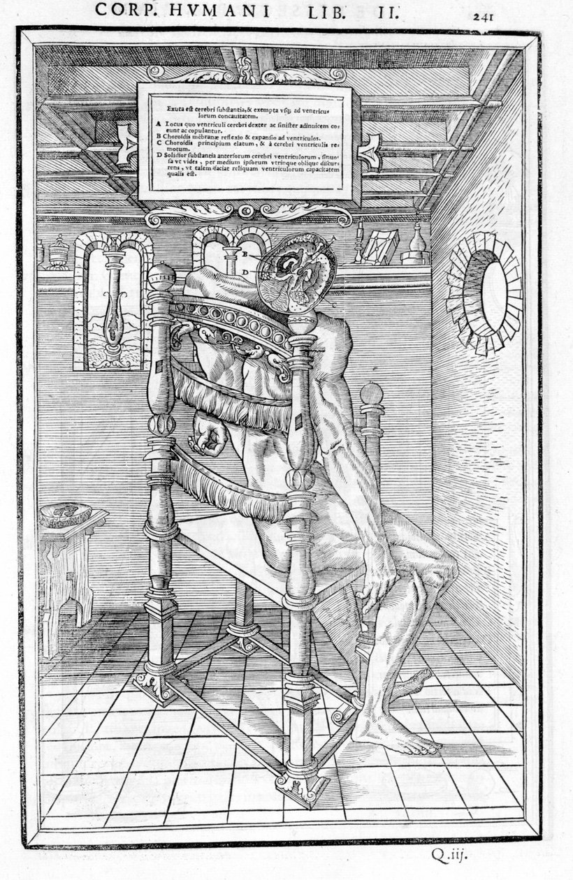 頭蓋骨のカット。"De dissectione partium corporis humani lbri tres... "の解剖図。カルロ・ステファノ・リベリオ、1545年パリ 作： 無名の画家