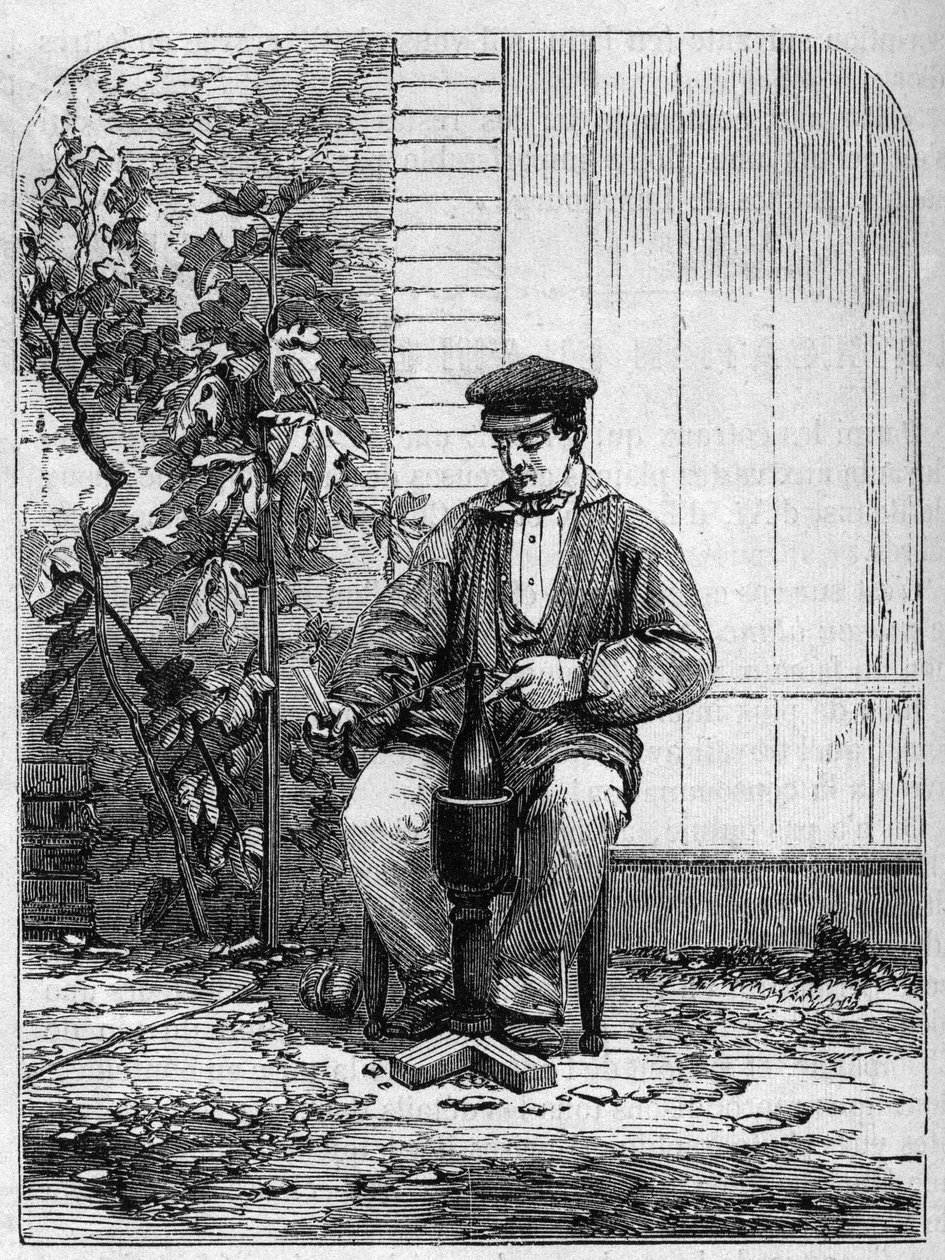 シャンパーニュワインの瓶詰め作業。1864年に描かれたもの。 作： 無名の画家