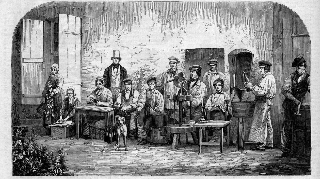 シャンパーニュワインの瓶詰め作業。1864年に描かれたもの。 作： 無名の画家
