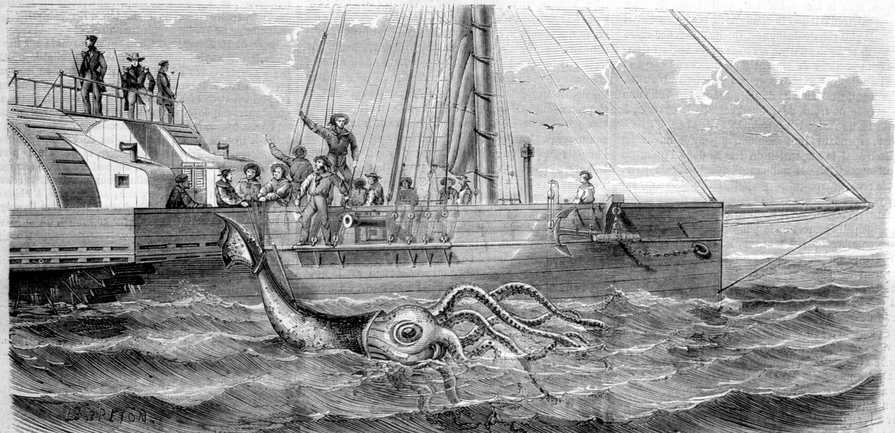 1861年にフランスのコルベット艦アレクトンが捕獲した最初の