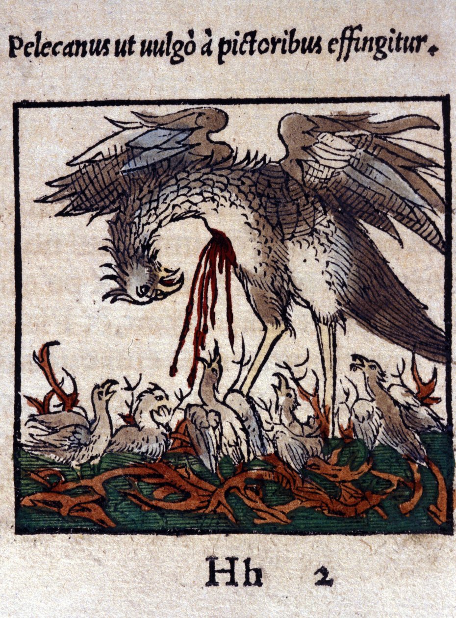 ペリカンの伝説：ペリカンは自分の血と腸を与えて子供を養う。Konrad Gesner著「Historiae animalium」（Tiguri）より 作： 無名の画家