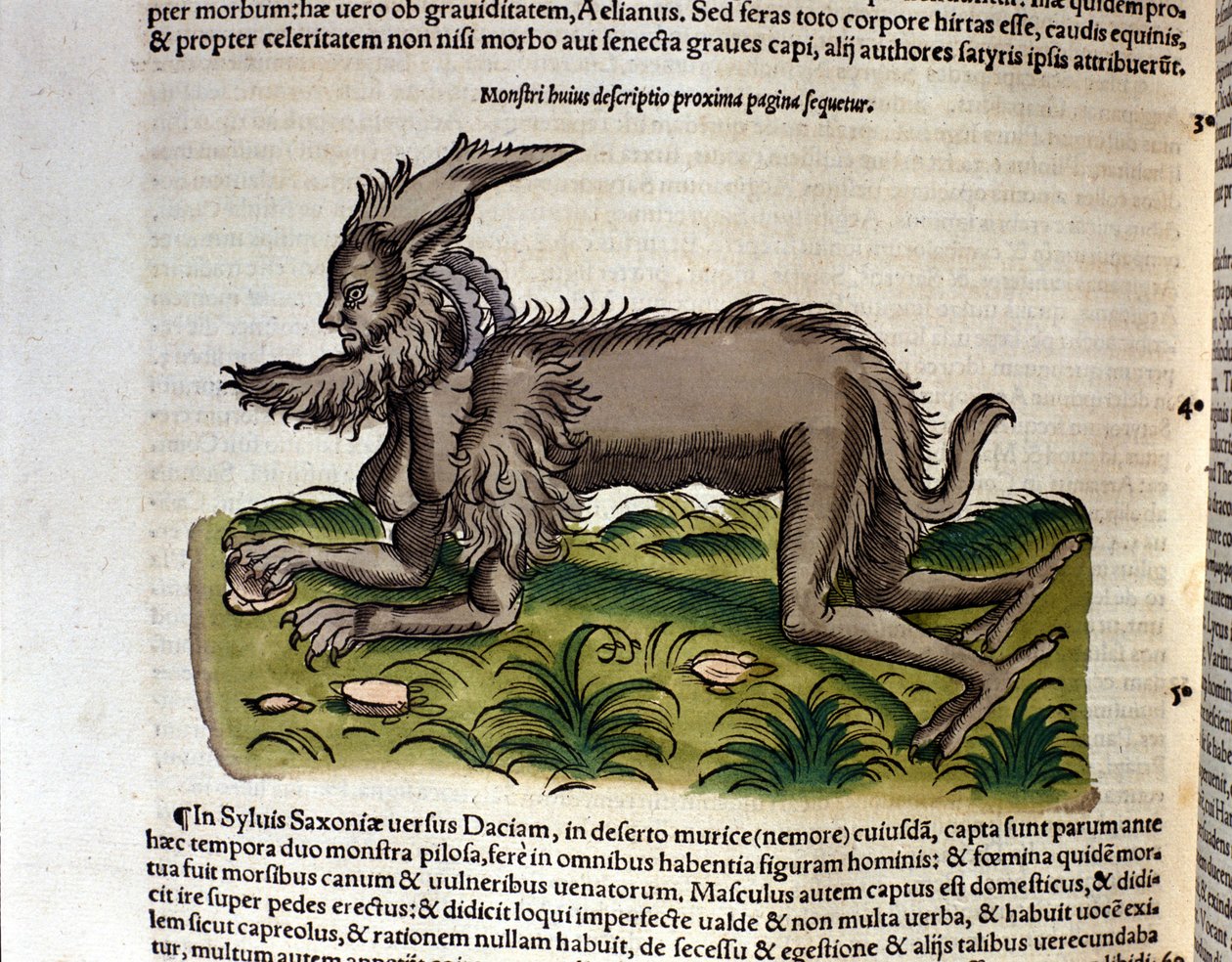 コンラッド・ゲスナーの『Historia Animalium』に登場するマンティコア、ティグリ1560年。Biblioteca nazionale Braidense.ミラノ 作： 無名の画家