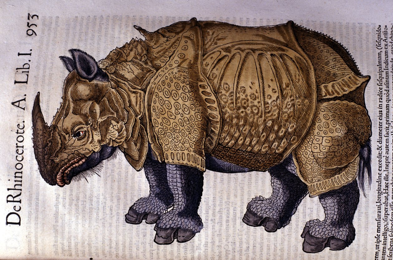 サイはコンラッド・ゲスナーの「Historia Animalium」（Tiguri 1560年）による。 作： 無名の画家