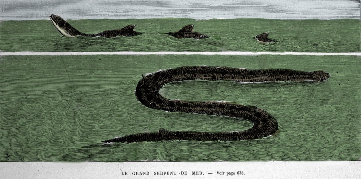 1872年に経度大西洋で観測されたウミヘビ。 作： 無名の画家
