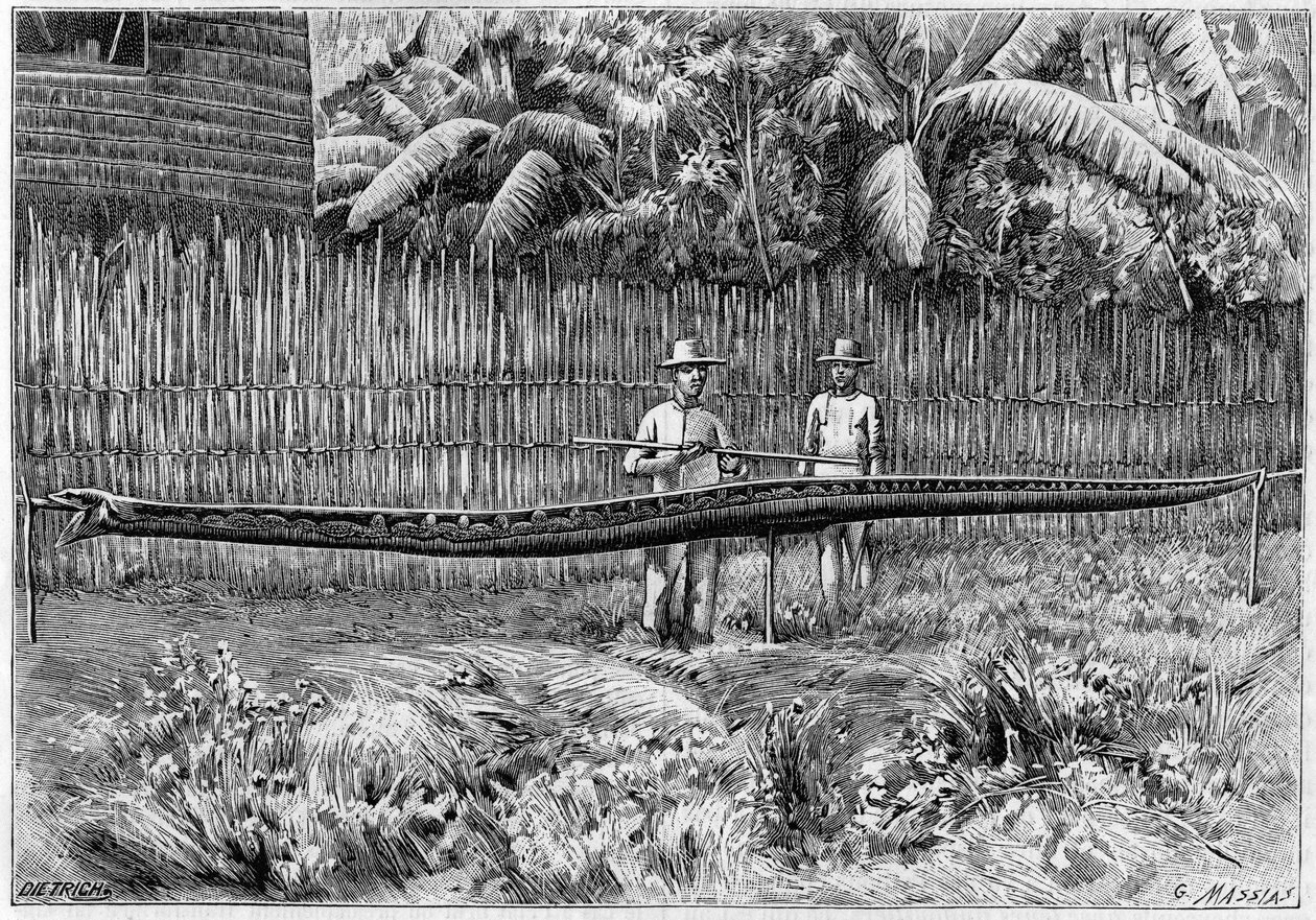 フィリピン諸島で捕獲された体長6.60mのパイソンヘビの皮。写真より）。1892年7月16日付「La Nature: revue des sciences et de leurs applications aux arts et a l