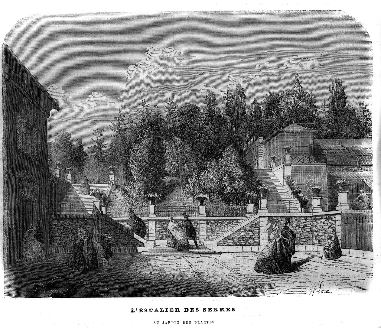 1858年にパリで開催された植物園の温室の階段。 作： 無名の画家