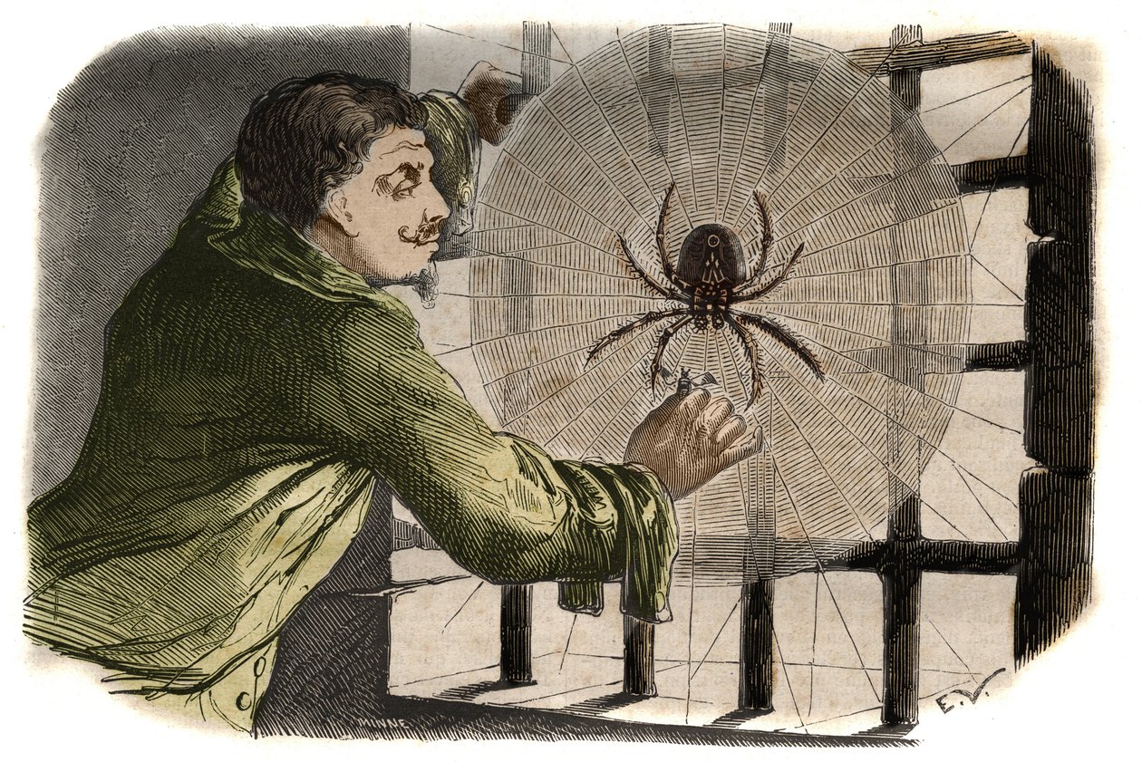 作家のポール・ペリソン（Paul Pellisson-Fontanier dit）（ペリソン・フォンタニエ）（1624-1693）がバスティーユで投獄されている間、アライグマを飼い慣らしていた。1858年に "Le Musee Des Sciences "に掲載されたエングレーヴィング 作： 無名の画家