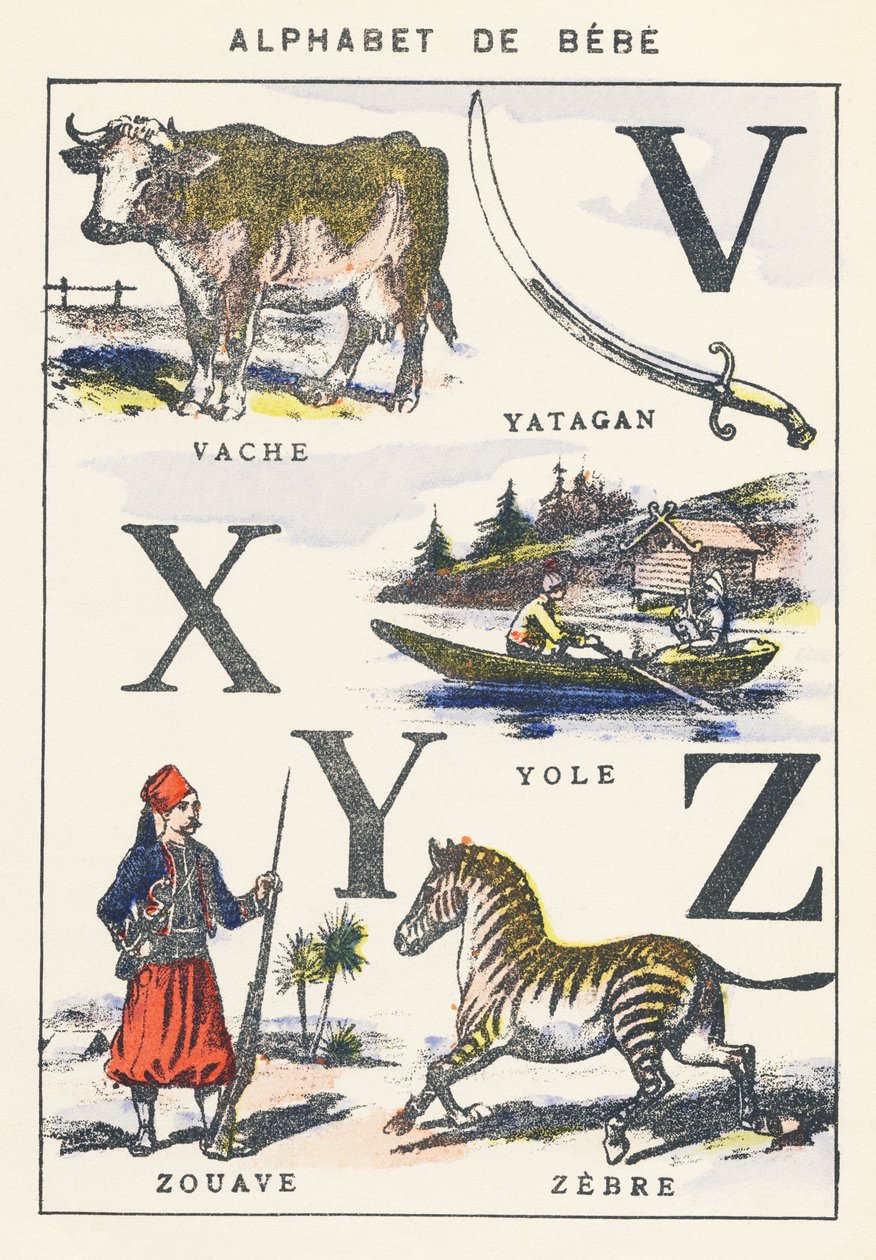 VXYZ：牛、ヨール、ズアーブ、シマウマ 作： 無名の画家