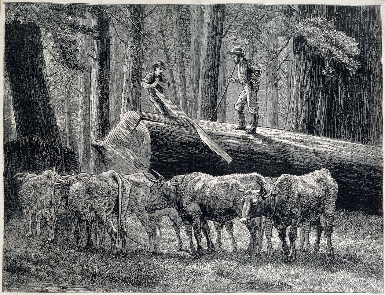 カリフォルニア州のレッドウッドの森にいる木工職人たち - 彫刻 作： 無名の画家