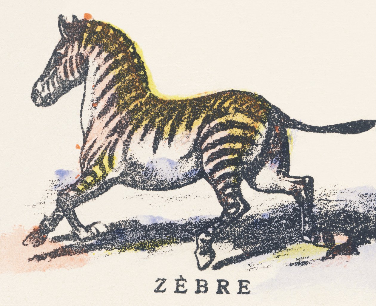 Z：シマウマ 作： 無名の画家