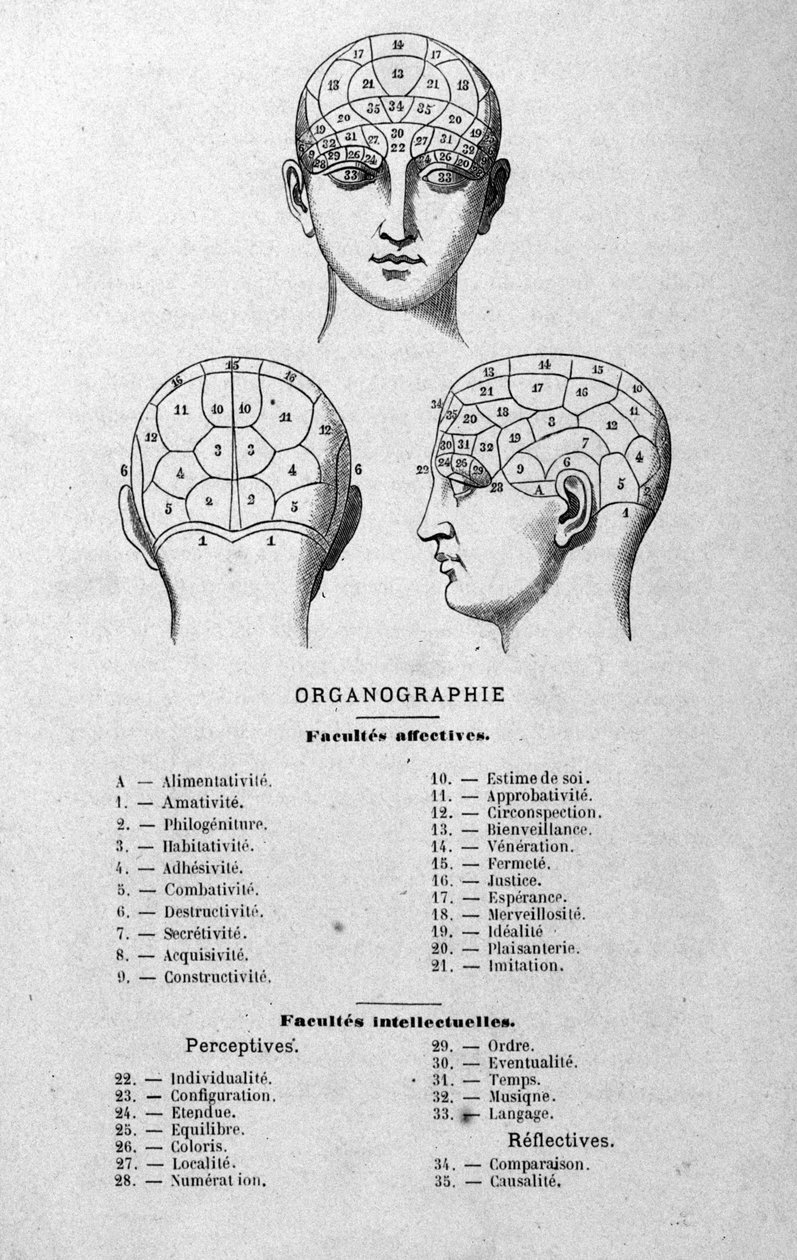 シャルル・ルーバンの1873年の著書『Organographie La Tête humanine』の挿絵。有名な人物に適用された骨相学と精神医学の図解研究。 作： 無名の画家