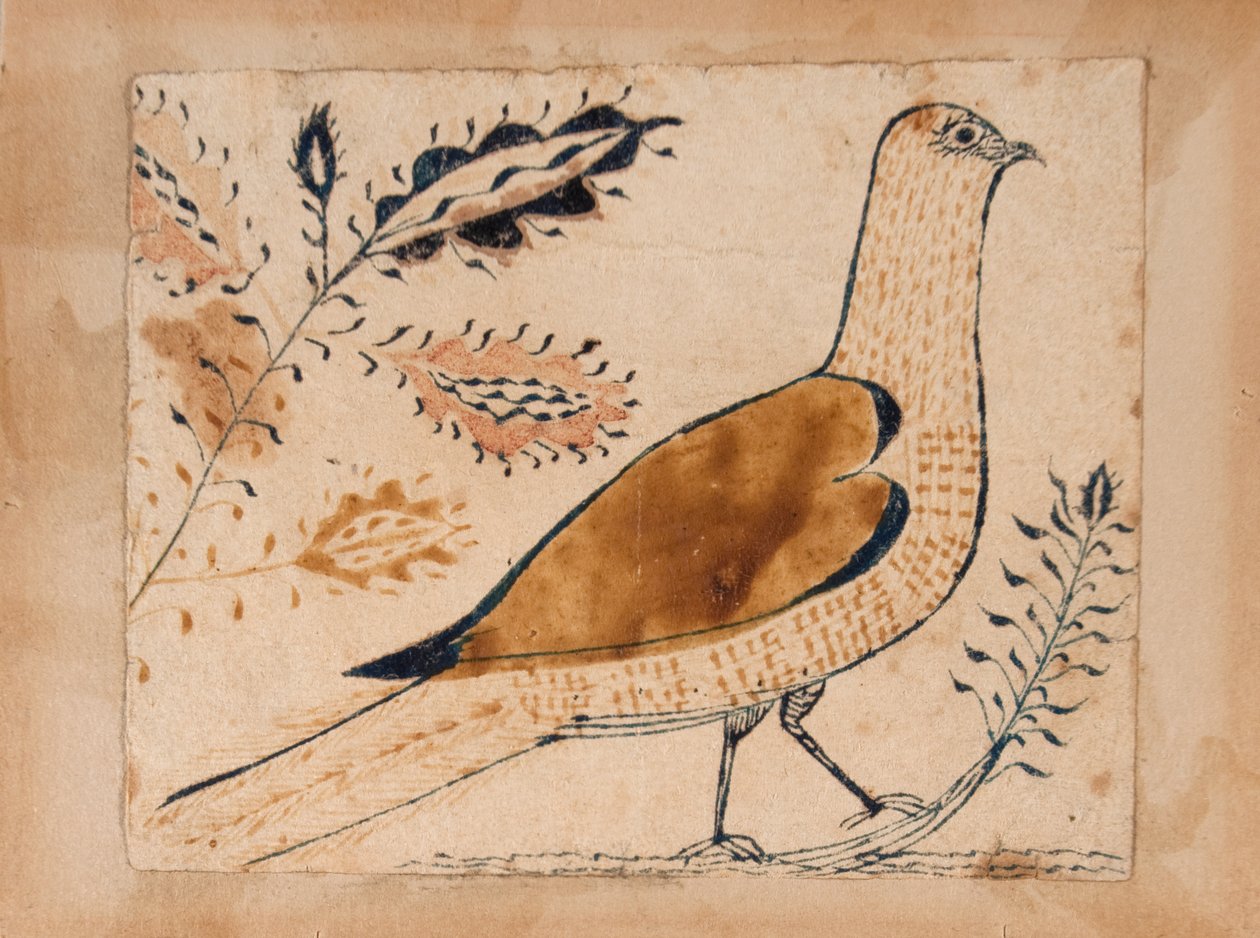 鳥 作： 無名の画家