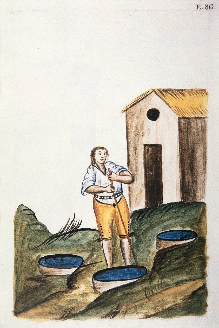 トルヒーヨ司教バルタサル・マルティネス・コンパニオン・イ・ブジャンダ（1782-1785）の著書「Trujillo del Peru」または「Códice Martínez Compañón」に掲載されている羊毛を染めるための青色の染料トレイ。 作： 無名の画家
