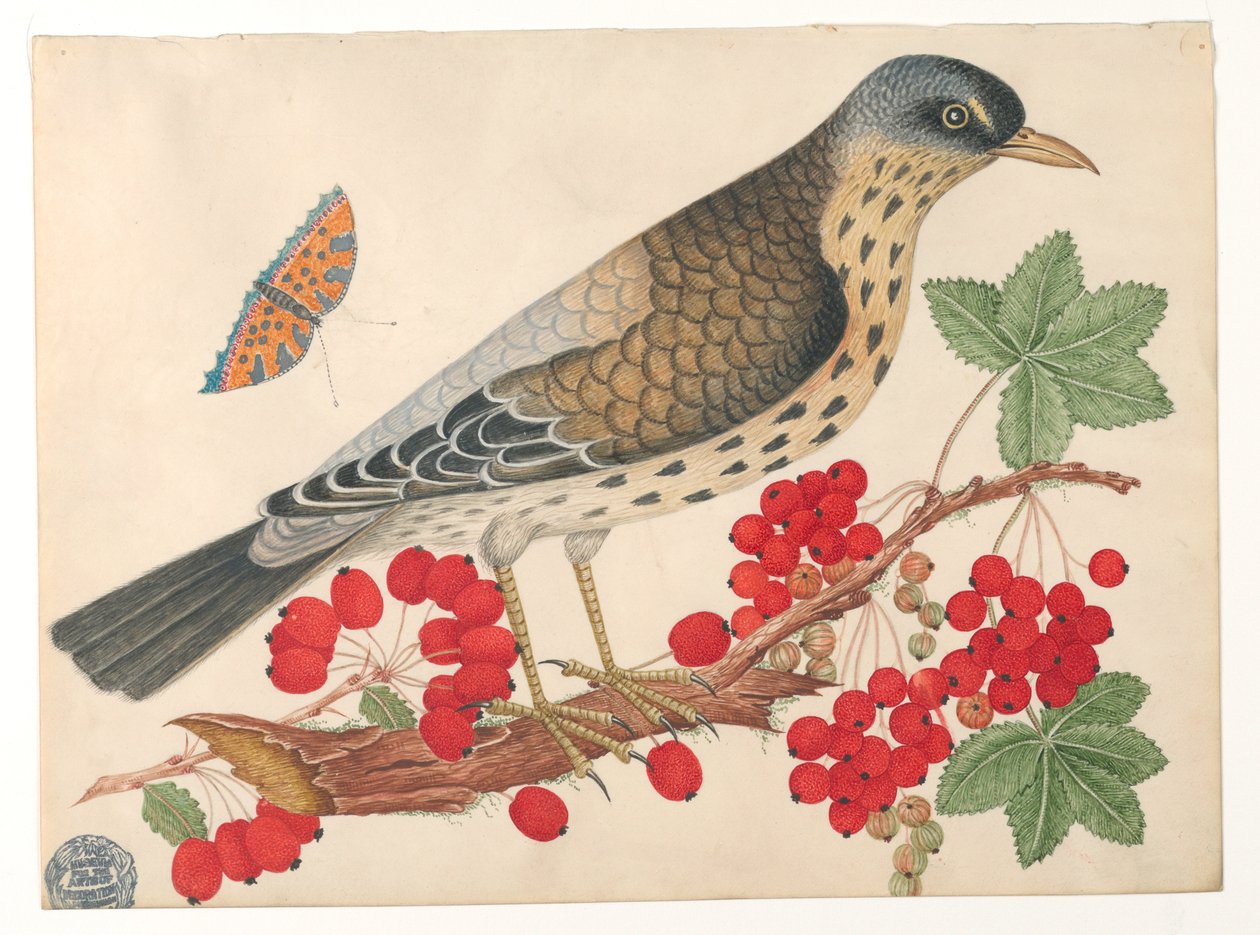 柿と蝶の枝に茶色の鳥 作： 無名の画家