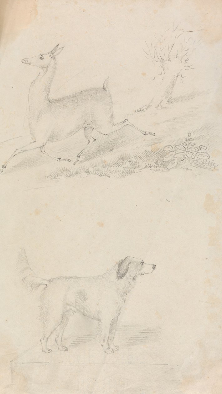 鹿と犬 作： 無名の画家