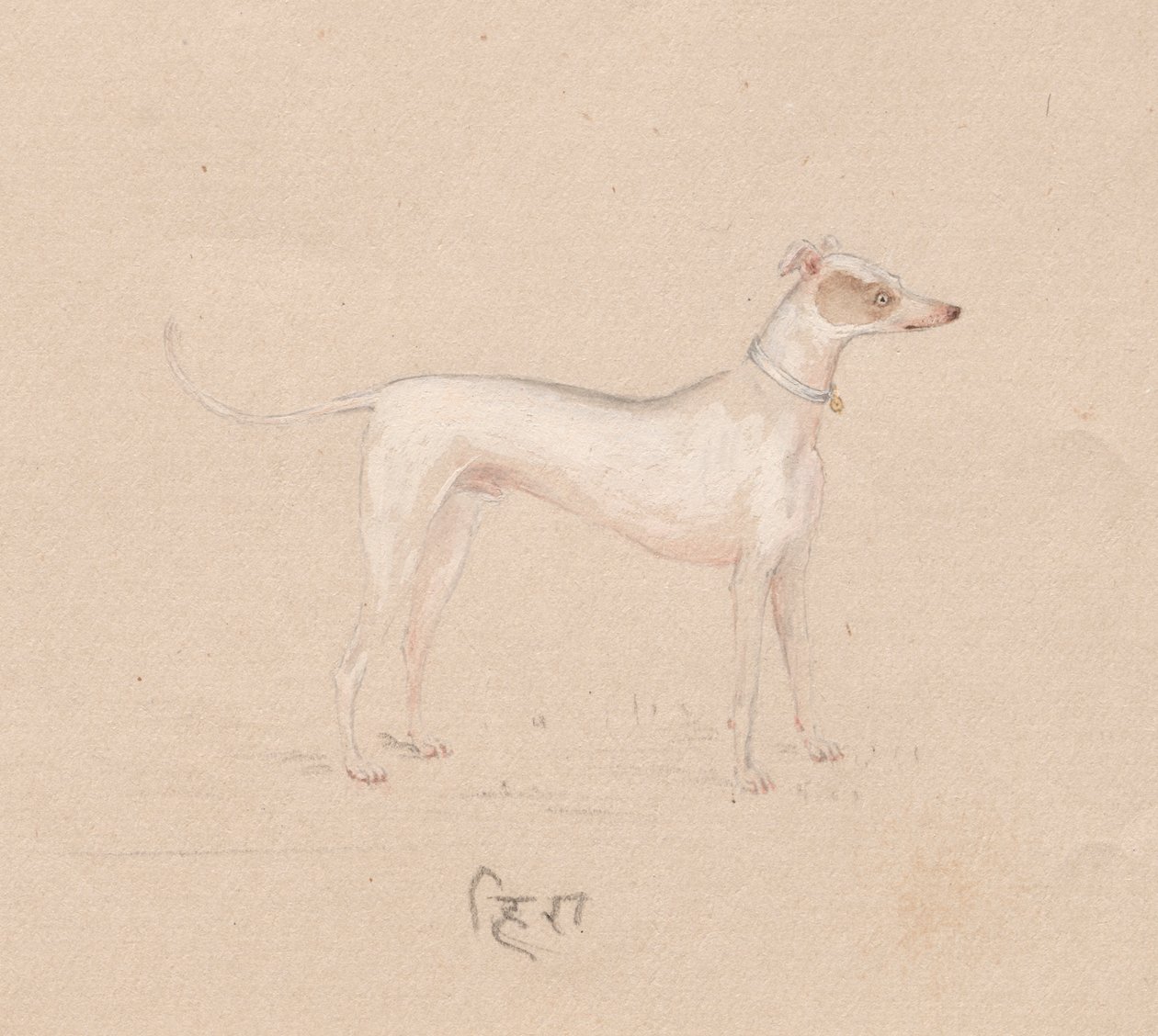 犬 作： 無名の画家