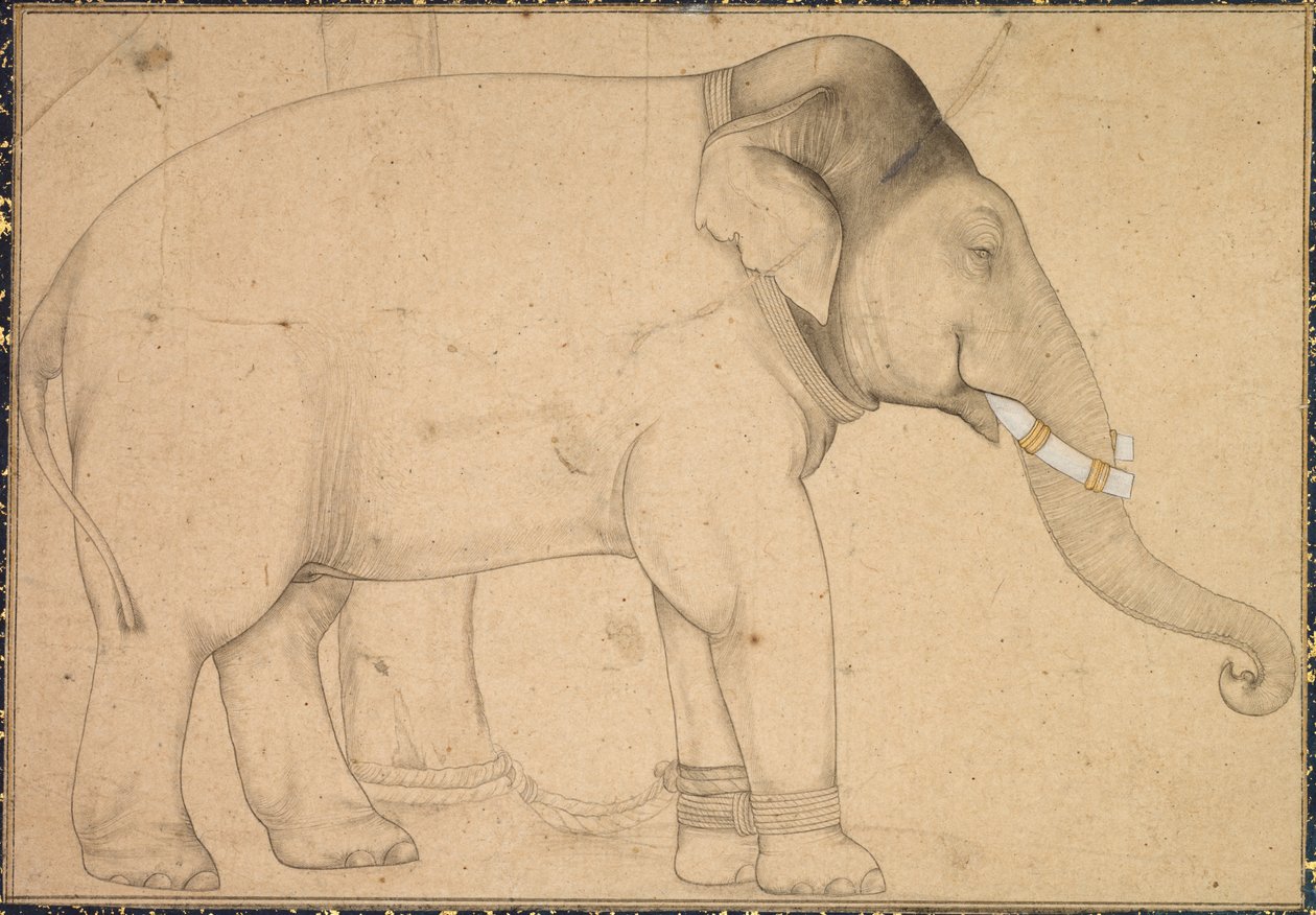 絵画 ゾウ 象さん elephant museum | タイの象さんが描いた絵を紹介するサイト