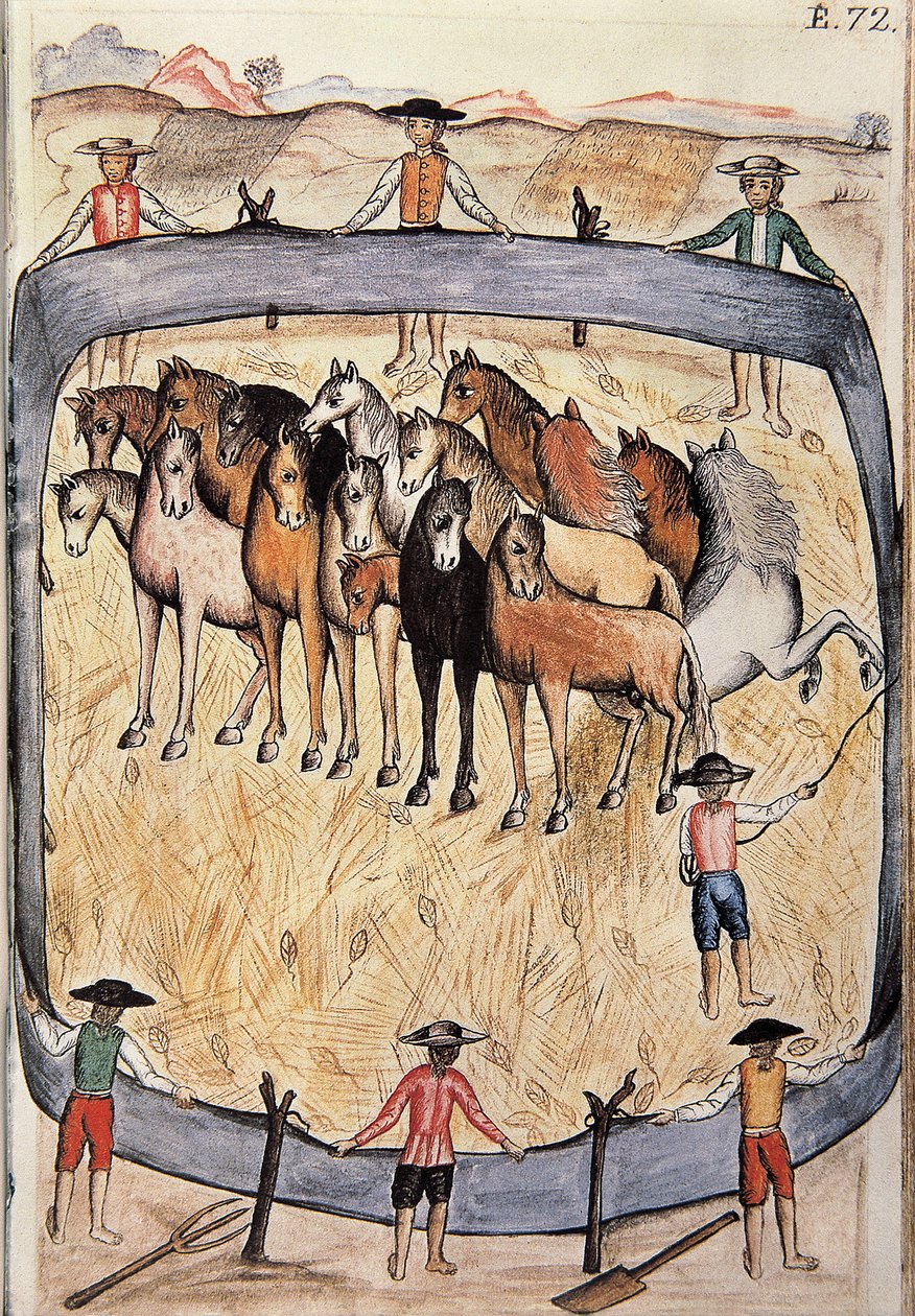 トルヒーヨ司教バルタサル・マルティネス・コンパニオン・イ・ブジャンダ（1782-1785）の著書「トルヒーヨ・デル・ペルー」（「Códice Martínez Compañón」）より、野生馬の馬術。 作： 無名の画家