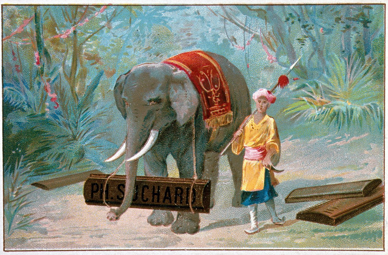 エレファントとコルナック、広告「Suchard」、V.1895 作： 無名の画家