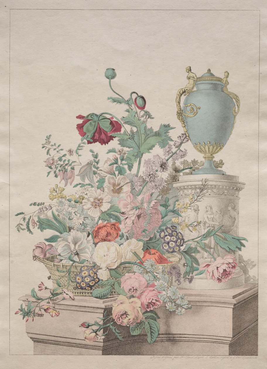 絵のように美しい植物または果物と花のコレクション 作： 無名の画家