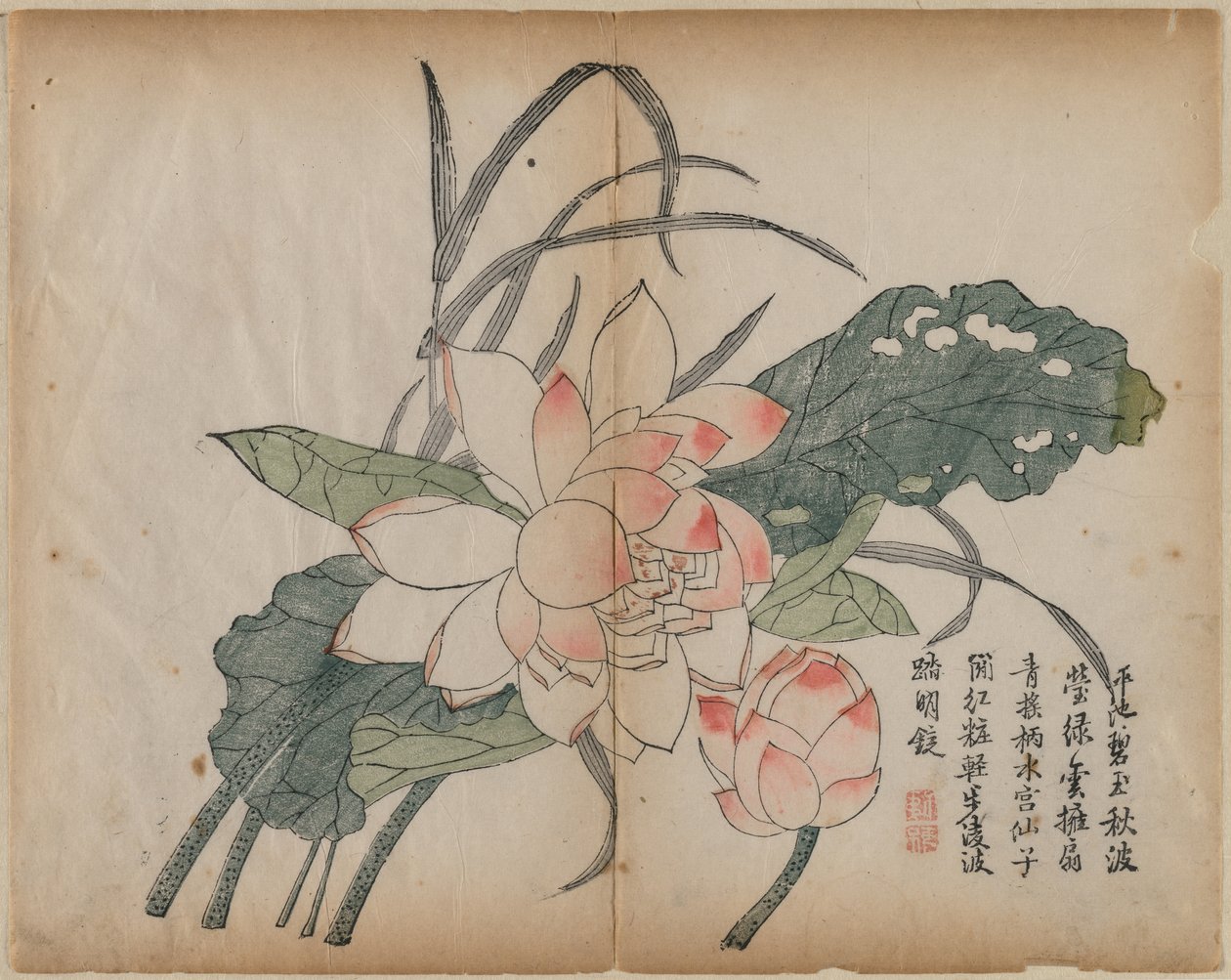 開花蓮とつぼみ 作： 無名の画家