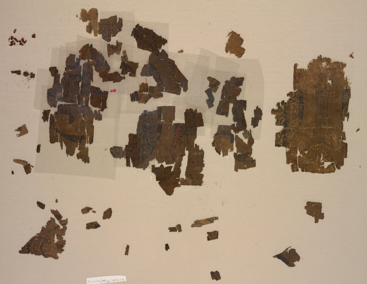 ラウンデルに翼のあるライオンの断片 作： 無名の画家