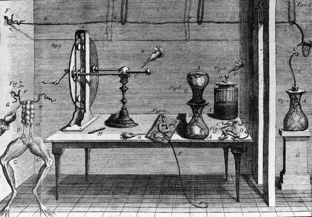 イタリアの物理学者・医師であるルイジ・ガルヴァーニ（1737〜1798）が、カエルの足に電流が流れることを説明した実験の図。 作： 無名の画家