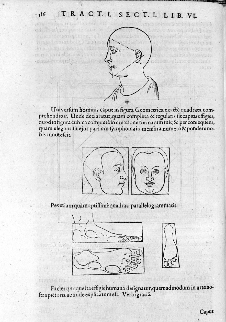 ロバート・フラッド（Robertus de Fluctibus）の「Collectio Operum」から人相学のイメージ。1617年のロンドン。 作： 無名の画家
