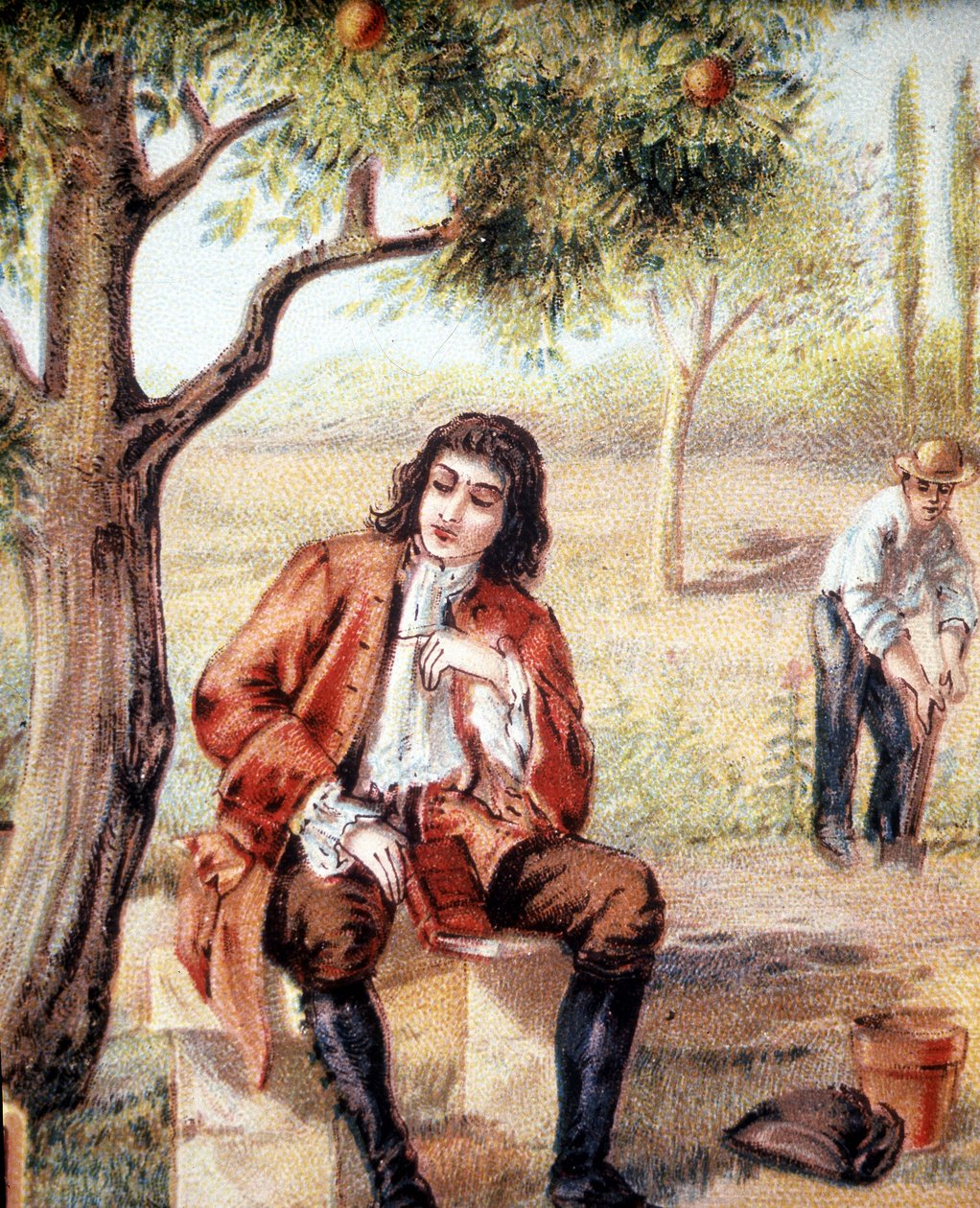 アイザック・ニュートン（1642-1727）は、リンゴの木の落下を観察することで重力理論を発見した。 作： 無名の画家