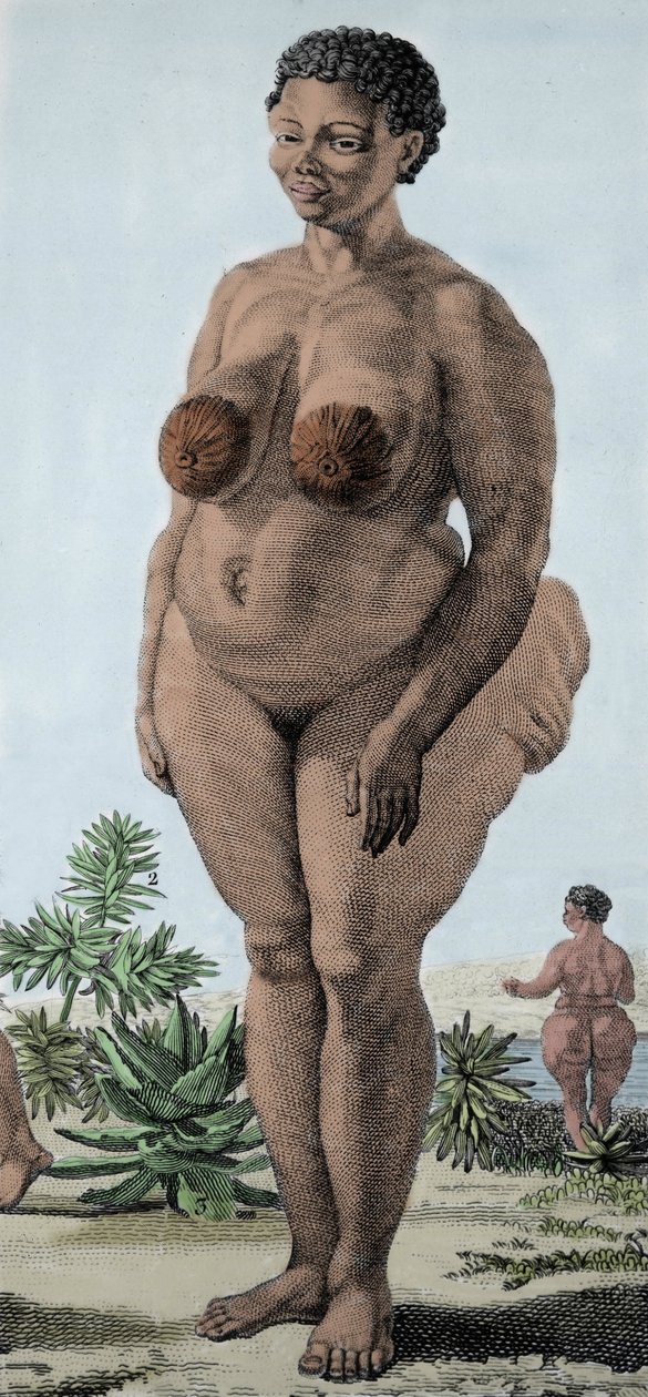 La Venus Hottentote, women of broad Bochiman; (The Hottentot Venus,) 1815年のエングレーヴィング。 作： 無名の画家