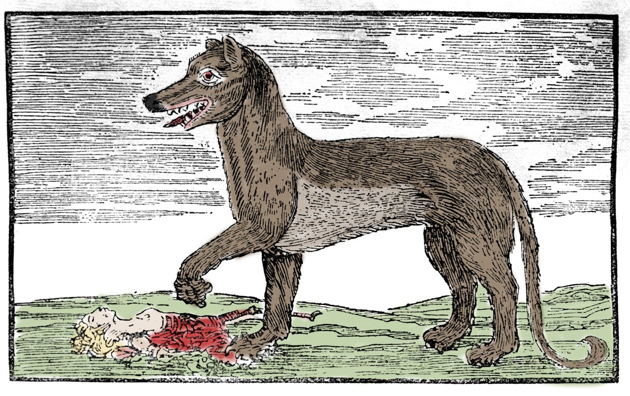 La bete du Gevaudan "Saint James
