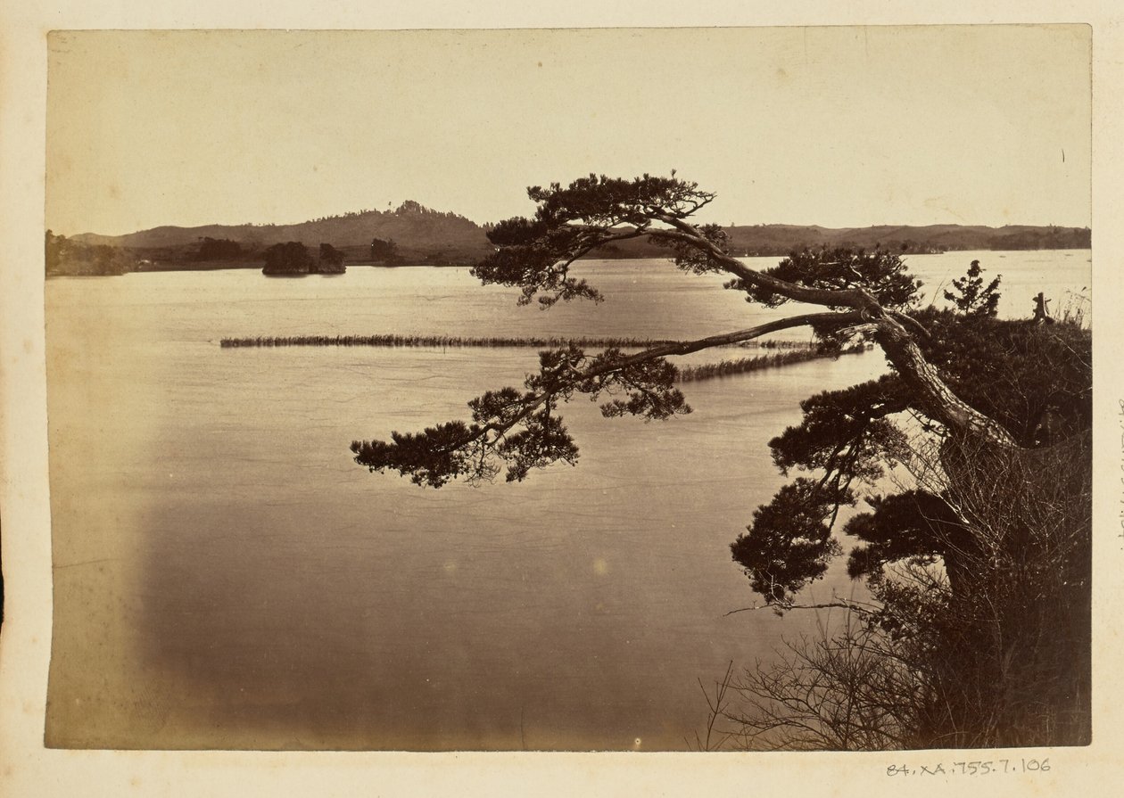 [湖と木々のある風景］ 作： 無名の画家