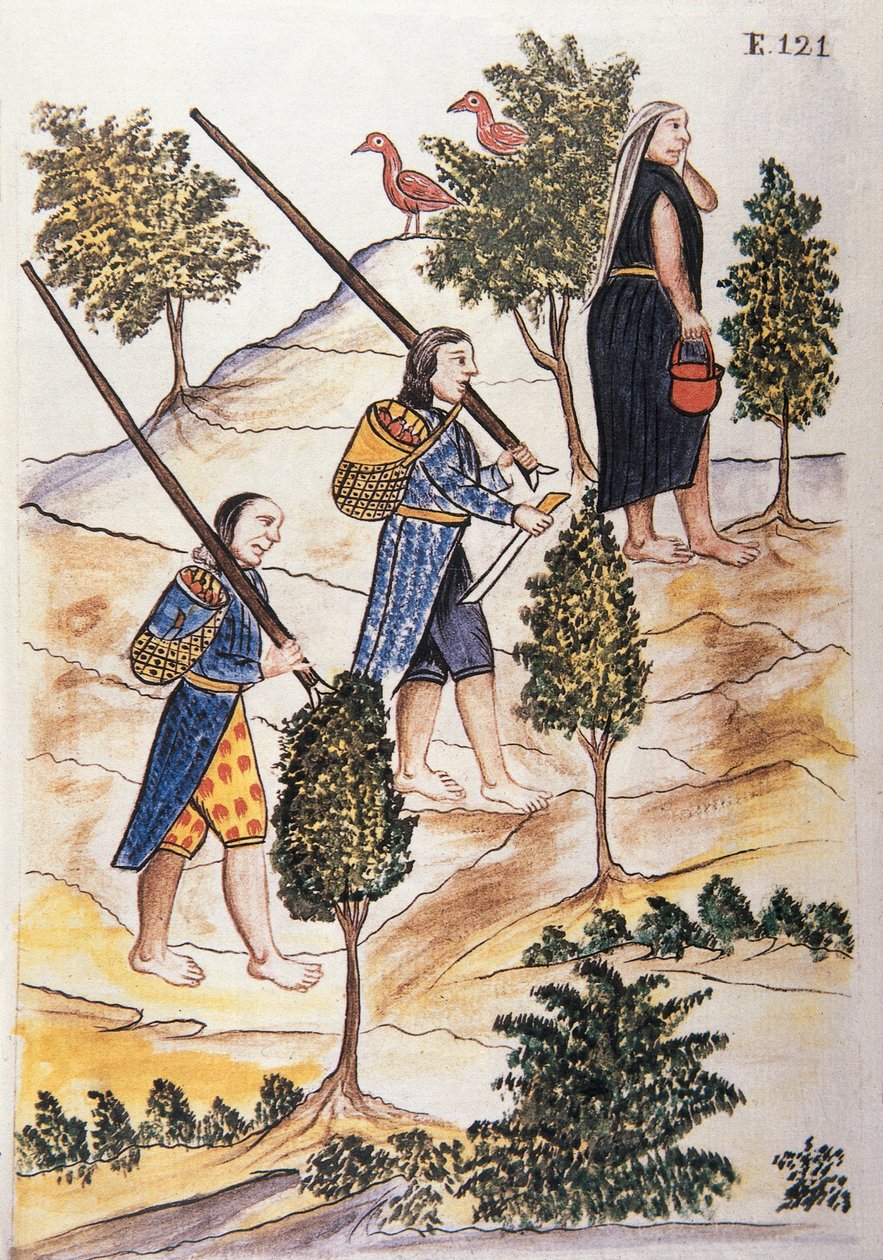 トルヒーヨ司教バルタサル・マルティネス・コンパニオン・イ・ブジャンダ（1782-1785）の著書「トルヒーヨ・デル・ペルー」（Códice Martínez Compañón）より 作： 無名の画家