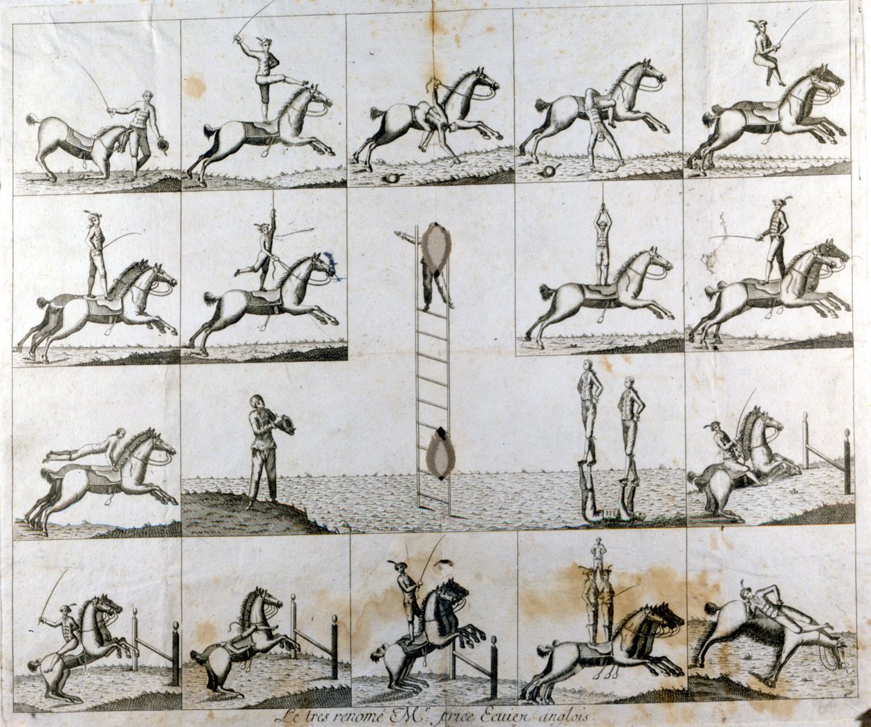 イギリスのボルタイガー、プライス氏の活躍を描いた19枚の版画プレート。1790年頃 作： 無名の画家