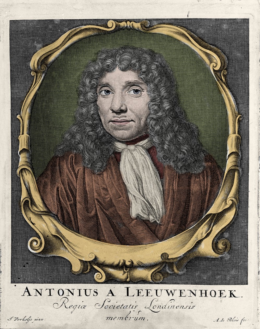 アントニー・ヴァン・レーウェンフック（Antonie Van Leeuwenhoek）、またはレーウェンフック（Leeuvenhoek）、またはレーウェンホーク（Leeuwenhoeck）の肖像。オランダの博物学者（1632-1723）。1722年の彫刻。 作： 無名の画家