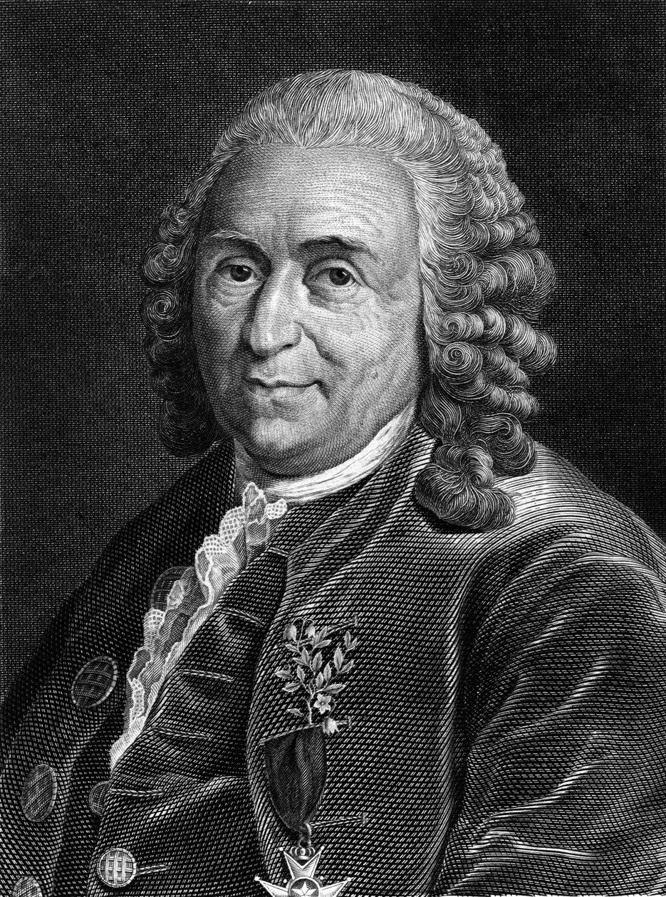 カール・フォン・リンネの肖像 スウェーデンの博物学者・作家（1707～1778年）。19世紀のSd.エングレーヴィング。 作： 無名の画家