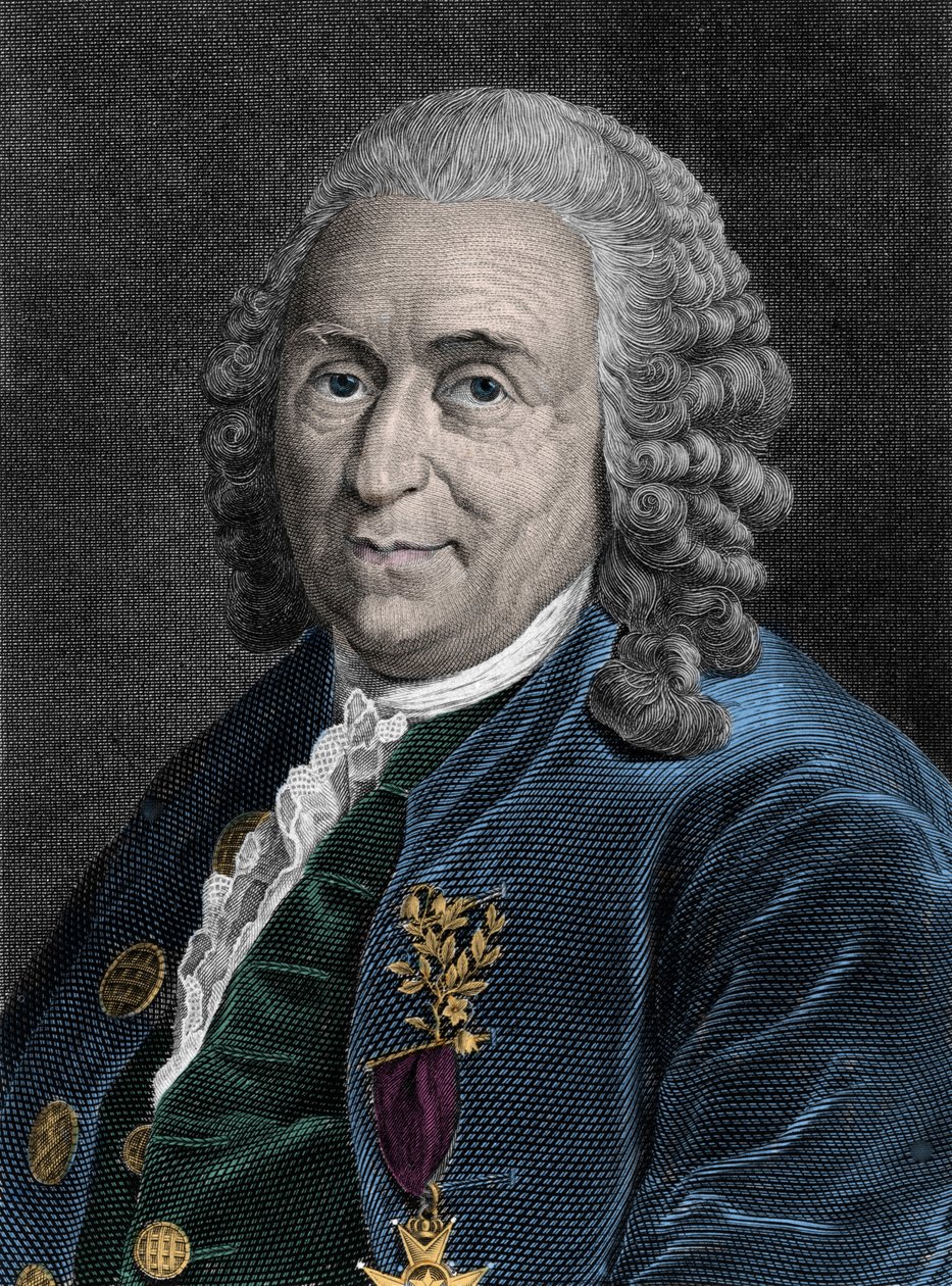 スウェーデンの博物学者、シャルル・リンネ（Carl von Linne, Linneus 1707-1778）の肖像。19世紀のエングレーヴィング。 作： 無名の画家