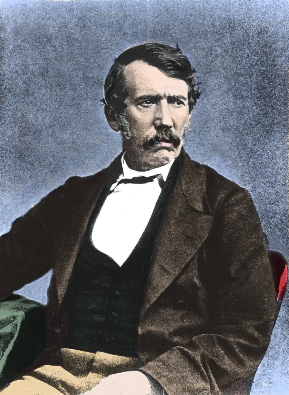 デイヴィッド・リヴィングストン（1813-1873） スコットランドの宣教師、探検家の肖像。 作： 無名の画家