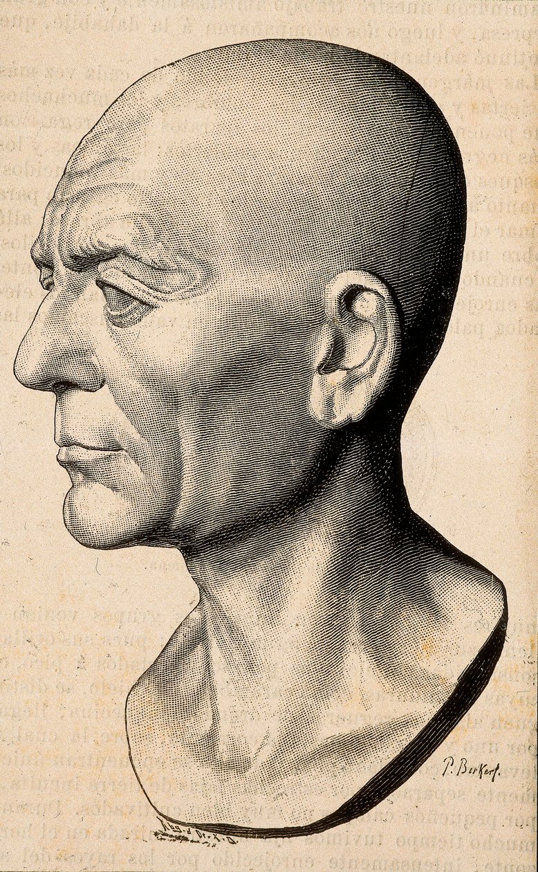 ローマの政治家であるPublius Cornelius Scipio (Scipio the African) Africanus（紀元前235-183年）の肖像。 作： 無名の画家