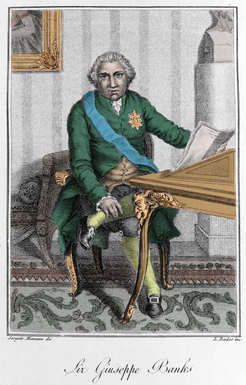 サー・ジョセフ・バンクス（1743-1820）の肖像。カラーエングレーヴィング 作： 無名の画家