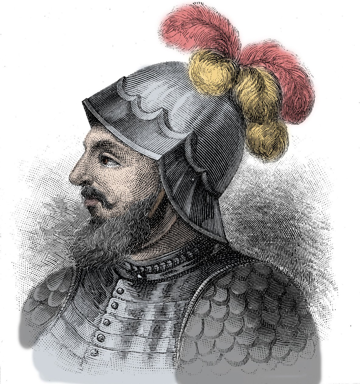 スペインの征服者ヴァスコ・ヌニェス・デ・バルボア（1475-1517）の肖像 - エングレーヴィング 19世紀 作： 無名の画家