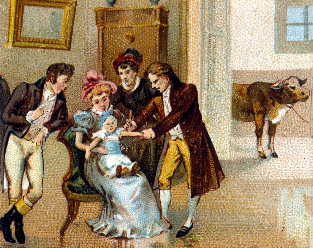 イギリスの医師エドゥアール・ジェンナー（1749-1823）が、ワクチン接種のために新しい人の腕に天然痘を接種しているところ。下には血清を採取した牛が写っている。 作： 無名の画家