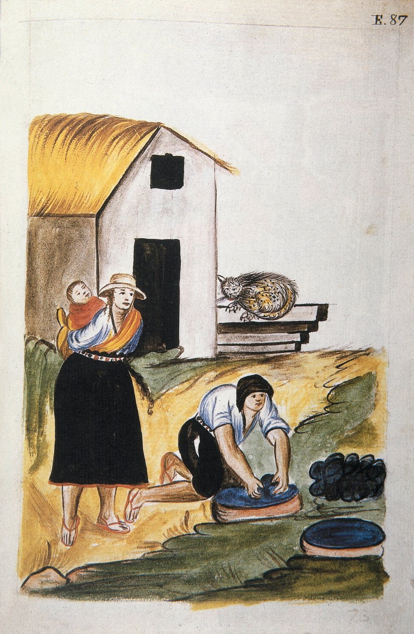 トルヒーヨ司教バルタサル・マルティネス・コンパニオン・イ・ブジャンダ（1782-1785）の著書「トルヒーヨ・デル・ペルー」（「Códice Martínez Compañón」）より、羊毛の染色について。 作： 無名の画家