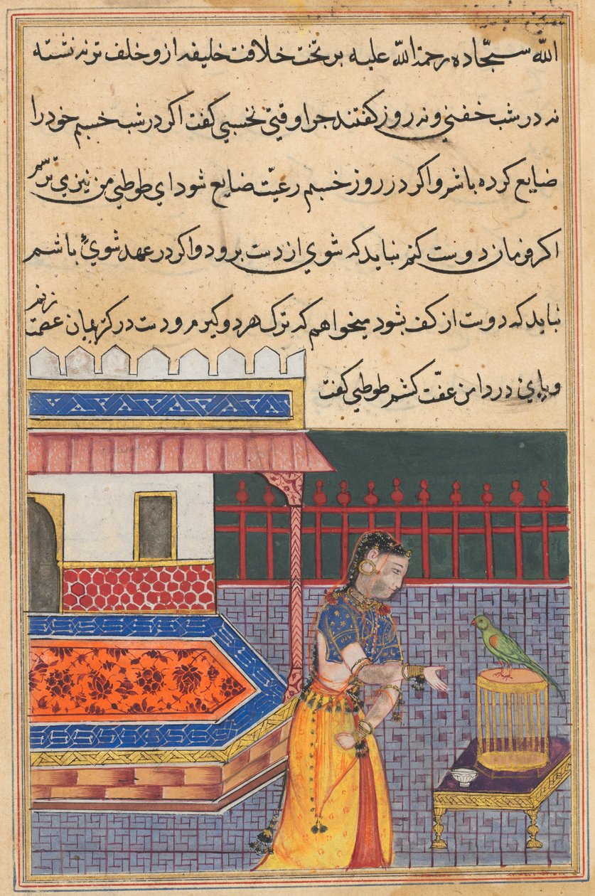 オウムは、Tuti-nama (オウムの物語) から、第 41 夜の初めに Khujasta に話しかけます。 作： 無名の画家