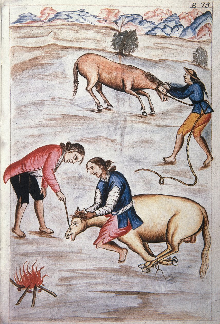 トルヒーヨ司教バルタサル・マルティネス・コンパニオン・イ・ブジャンダ（1782-1785）の著書「トルヒーヨ・デル・ペルー」（「Códice Martínez Compañón」）に掲載されている雌馬の赤い鉄製の焼印 作： 無名の画家