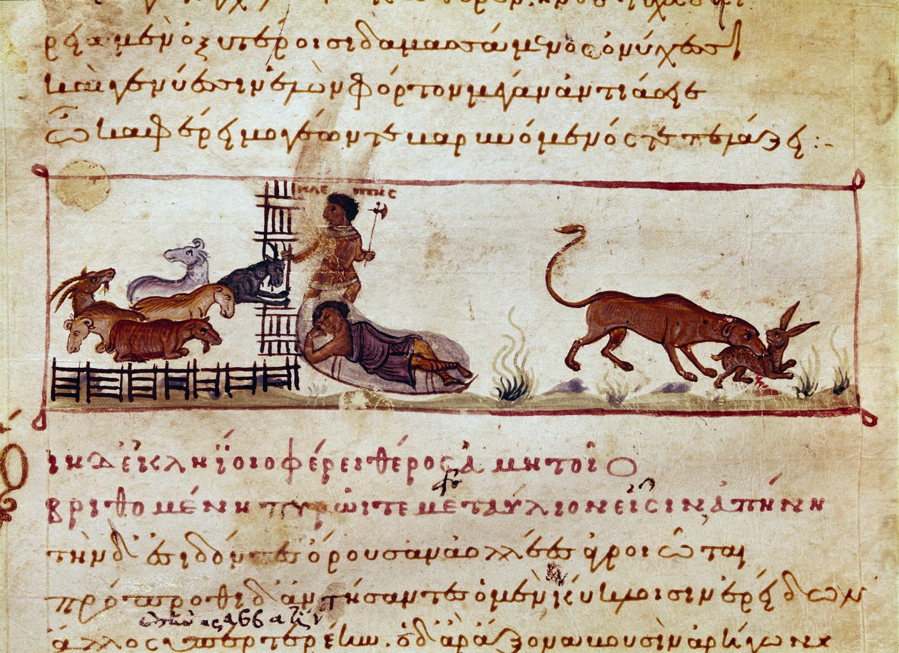 シリアのオッピアン(OppianまたはOppianus)がカラカラに捧げた『シネゲティクス』(紀元3世紀)の狩猟用乳搾りから取り出したミニチュア獣によって、右のウサギが貪り食われている様子。11世紀のヴェネツィア。マルシアーナ図書館 作： 無名の画家