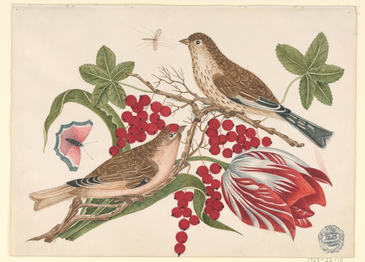 チューリップ、果実、昆虫と枝に 2 羽の茶色の鳥 作： 無名の画家